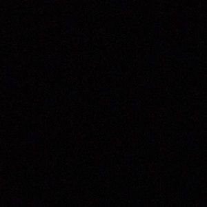 Meet your Posher, Isabelle